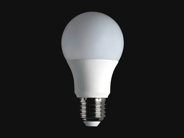 Ampoules LED