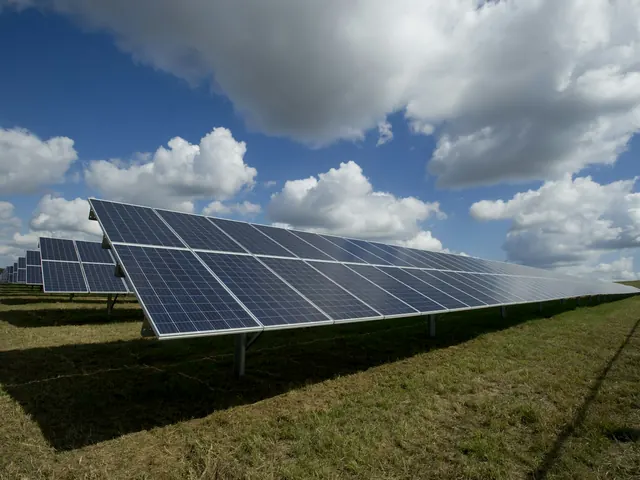 Panneaux solaires bifaciaux